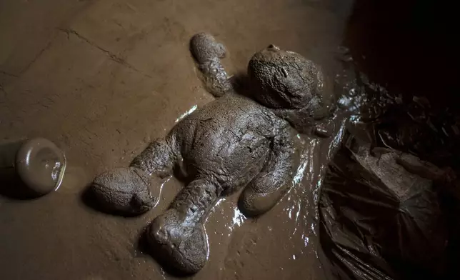 A plush toy lies in the mud inside a flooded house in Poza Rica, Veracruz state, Mexico, Monday, Oct. 13, 2025, after torrential rains. (AP Photo/Felix Marquez)