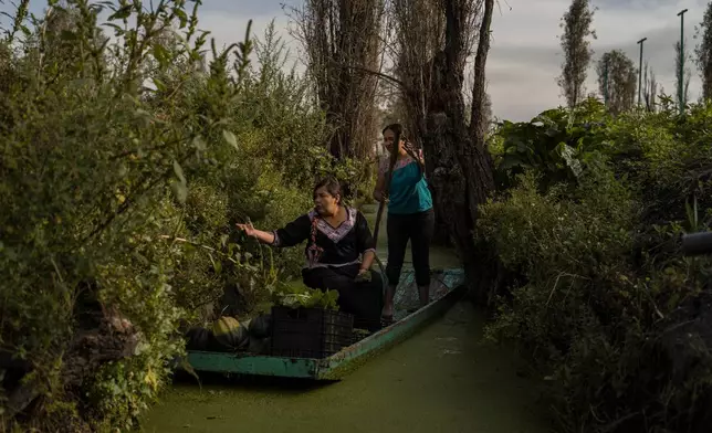 Jasmín Ordóñez and Cassandra Garduño, right, paddle a boat in Garduño's chinampa, an island farm built by the Aztecs thousands of years ago, in San Gregorio Atlapulco, a borough of Mexico City, Sept. 20, 2025. (AP Photo/Felix Marquez)
