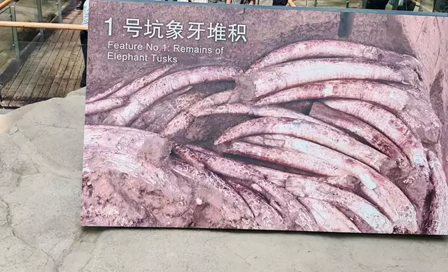 The Jinsha Site has yielded ​​tons of ivory​​. Photo by Bastillepost.