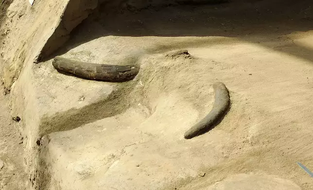 The Jinsha Site has yielded ​​tons of ivory​​. Photo by Bastillepost.