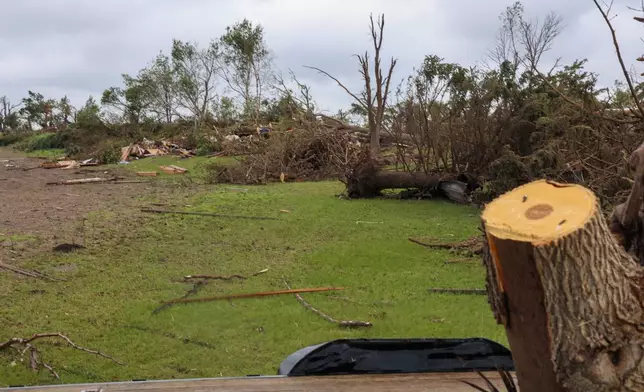 Many trees are stripped and uprooted on June 25, 2025 following the EF5 tornado in Enderlin, N.D. (North Dakota Governor's Office via AP)