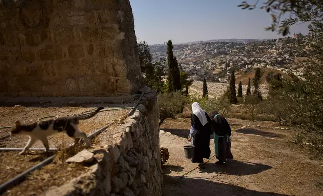 Sister Marie Benedicte, left, and Sister Colomba, two Catholic nuns, walk in their monastery's garden to harvest olives on the Mount of Olives, in Jerusalem, Friday, Oct. 17, 2025. (AP Photo/Oded Balilty)