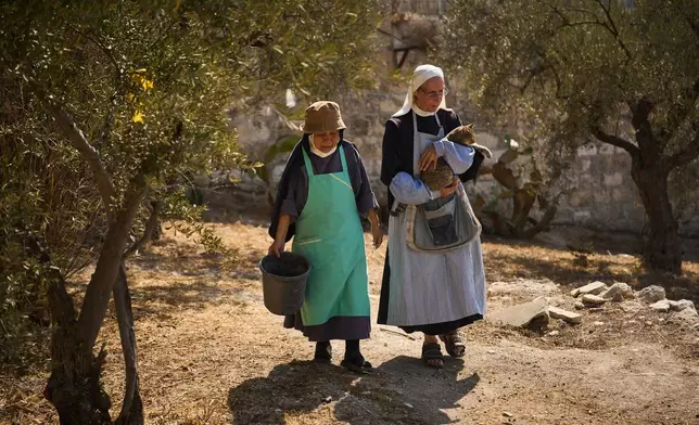 Sister Marie Benedicte, right, and Sister Colomba, two Catholic nuns, walk in their monastery's garden to harvest olives on the Mount of Olives, in Jerusalem, Friday, Oct. 17, 2025. (AP Photo/Oded Balilty)