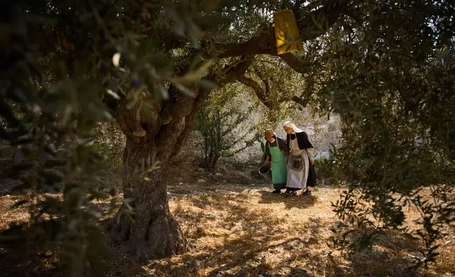 Sister Marie Benedicte, right, and Sister Colomba, two Catholic nuns, walk in their monastery's garden to harvest olives on the Mount of Olives, in Jerusalem, Friday, Oct. 17, 2025. (AP Photo/Oded Balilty)
