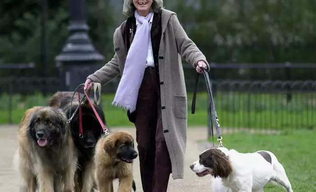 FILE - Author Jilly Cooper walks with an army of dogs and rare breeds at a photocall to launch Crufts Dog Show, in London, England, Feb. 20, 2002. (Stefan Rousseau/PA via AP, File)