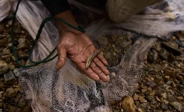Mahmud Karmar holds a small fish he caught in the river near the Mae La refugee camp in the Tak province of Thailand, Thursday, Aug. 28, 2025. (AP Photo/Bram Janssen)