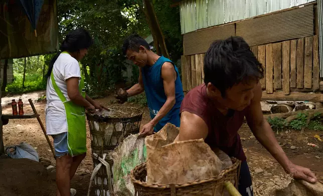 Two men sell yams they foraged in a forest near the Mae La refugee camp to a shop owner in the Tak province of Thailand, Wednesday, Aug. 27, 2025. (AP Photo/Bram Janssen)