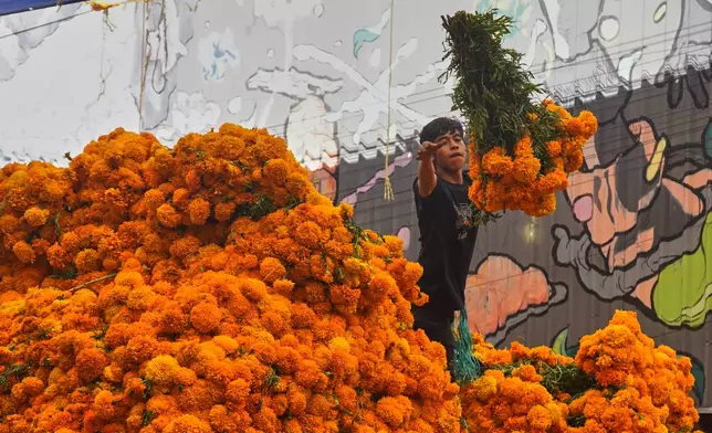 A worker unloads marigold flowers, known as cempasuchil, used during Day of the Dead celebrations, at the Jamaica flower market in Mexico City, Monday, Oct. 27, 2025. (AP Photo/Jon Orbach)