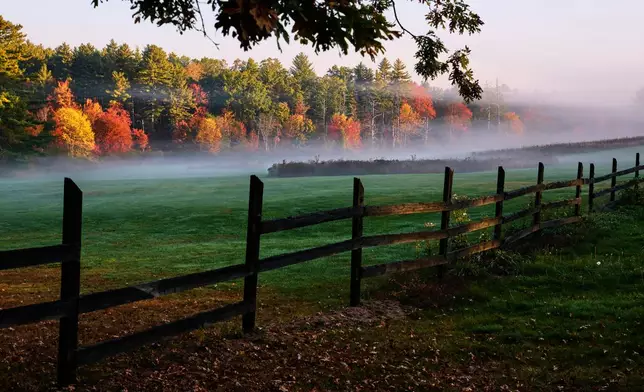 Morning mist hovers over a field as leaves turn to fall foliage colors at sunrise along a country road, Tuesday, Oct. 7, 2025, in Auburn, N.H. (AP Photo/Charles Krupa)