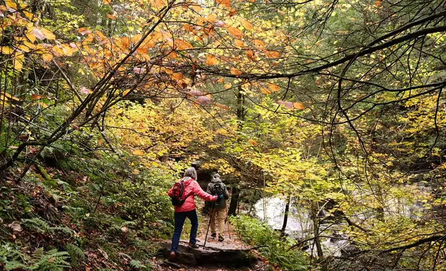 Hikers move amongst the fall foliage at Ricketts Glen State Park in Benton, Pa., Tuesday, Oct. 14, 2025. (AP Photo/Matt Rourke)