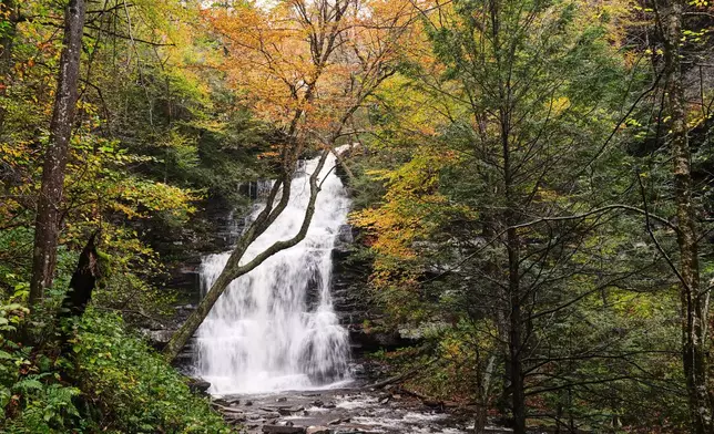 Water flows over Ganoga Falls amongst the Autumn foliage at Ricketts Glen State Park in Benton, Pa., Tuesday, Oct. 14, 2025. (AP Photo/Matt Rourke)