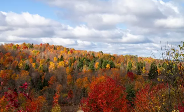 Clouds sit over fall foliage in Clarksville, N.H., on Thursday, Oct. 9, 2025. (AP Photo/Holly Ramer)