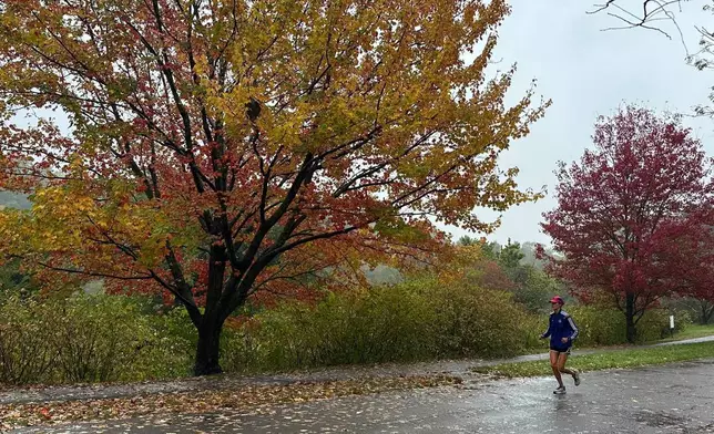 A person runs along a path as fall foliage turns at the Arnold Arboretum of Harvard in Boston, Tuesday, Oct. 14, 2025. (AP Photo/Leah Willingham)