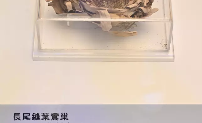 Hong Kong Science Museum's "Intelligences - Different by Nature" exhibition to showcase vast spectrum of intelligence across species  Source: HKSAR Government Press Releases