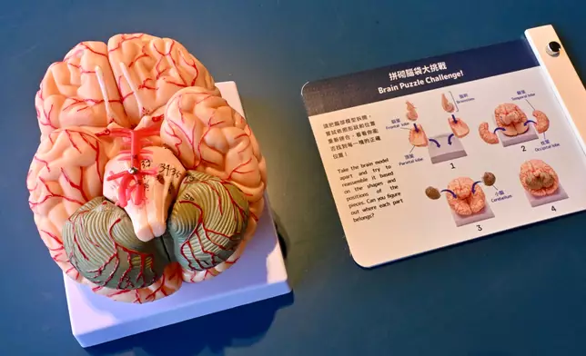 Hong Kong Science Museum's "Intelligences - Different by Nature" exhibition to showcase vast spectrum of intelligence across species  Source: HKSAR Government Press Releases