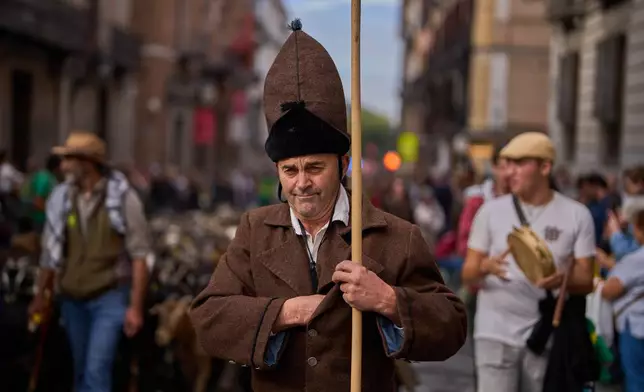 A sheepherder takes part as sheep are guided through central Madrid, Spain, as shepherds lead them through the streets in defense of ancient grazing and migration rights, Sunday, Oct. 19, 2025. (AP Photo/Manu Fernandez)