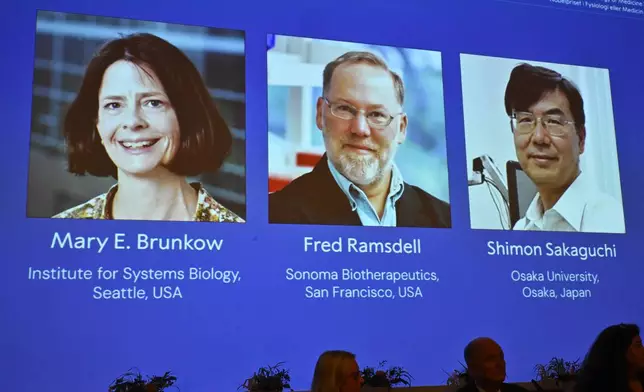 A screen showing the photos of Mary E Brunkow, Fred Ramsdell and Shimon Sakaguchi who were awarded the Nobel Prize in Medicine or Physiology, at the Nobel Assembly of the Karolinska Institutet, in Stockholm, Sweden, Monday, Oct. 6, 2025. (Claudio Bresciani/TT News Agency via AP)