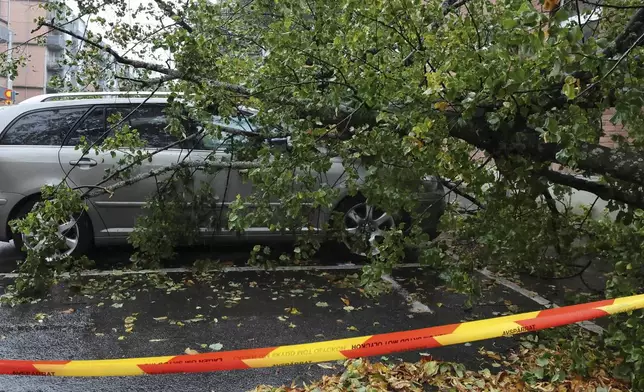 A large tree after falling over several cars after strong winds in Gothenburg, Sweden, Saturday Oct. 5, 2025. (Björn Larsson Rosvall/TT via AP)