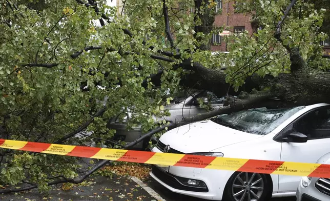A large tree after falling over several cars after strong winds in Gothenburg, Sweden, Saturday Oct. 5, 2025. (Björn Larsson Rosvall/TT via AP)