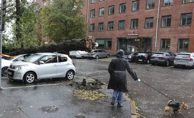 A person walks past a large tree after falling over several cars after strong winds in Gothenburg, Sweden, Saturday Oct. 5, 2025. (Björn Larsson Rosvall/TT via AP)