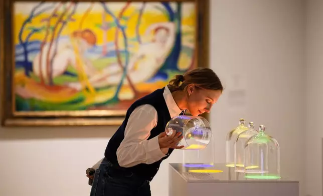 A woman smells samples of different lights during the exhibition "The Secret Power of Scents", showing the history of scent from antiquity to the present as a sensory experience at the Kunstpalast art museum in Duesseldorf, Germany, Tuesday, Oct. 28, 2025. (AP Photo/Martin Meissner)