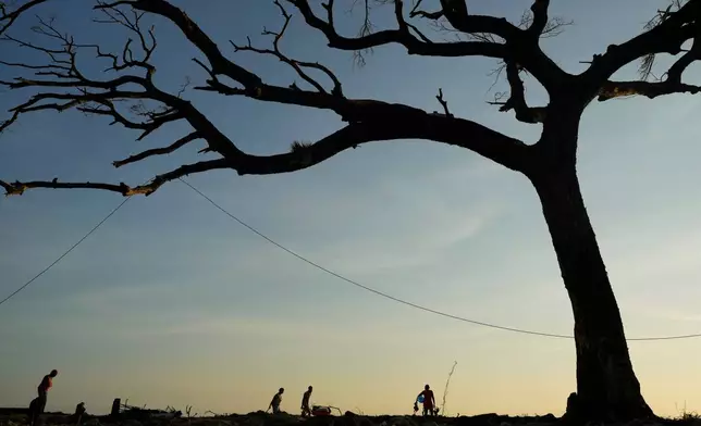 People walk under a tree in Black River, Jamaica, Thursday, Oct. 30, 2025, in the aftermath of Hurricane Melissa. (AP Photo/Matias Delacroix)