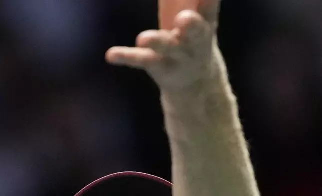 Italy's Jannik Sinner serves against Argentina's Francisco Cerundolo during their third round match of the Paris Masters tennis tournament in Paris, France, Thursday, Oct. 30, 2025. (AP Photo/Christophe Ena)