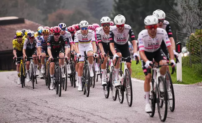 Reigning World Champion Tadej Pogacar, center, pedals as the pack rides through the countryside during Il Lombardia, Tour of Lombardy cycling race, Italy, Saturday, Oct. 11, 2025. (Marco Alpozzi/LaPresse via AP)