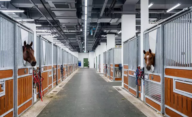 The expanded stables provide 38 air-conditioned horse stalls.