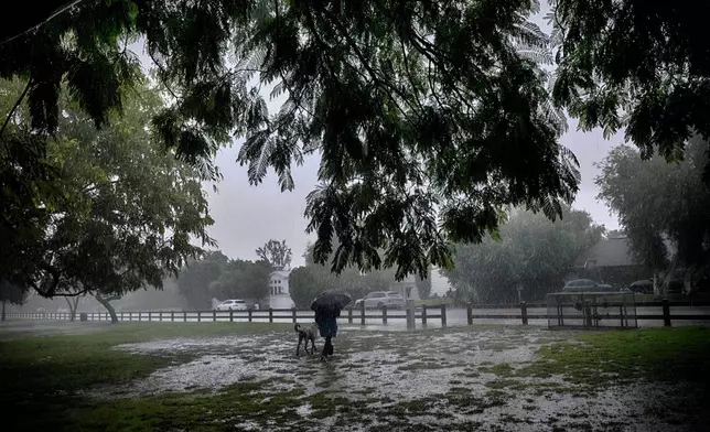 A lone dog walker braves the pouring rain in the Encino section of Los Angeles on Tuesday, Oct. 14, 2025. (AP Photo/Richard Vogel)