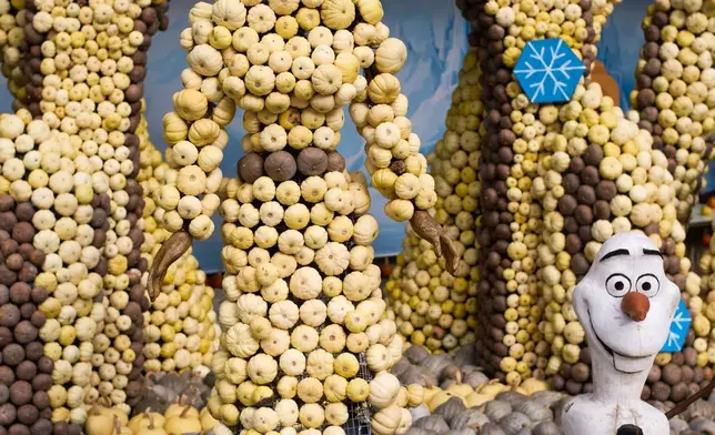 A pumpkin sculpture depicting Elsa and Olaf of the children's movie, "Frozen", is displayed at Klaistow farm’s annual pumpkin festival, which this year celebrates “powerful women,” in Beelitz near Berlin, Germany, Tuesday, Oct. 21, 2025. (AP Photo/Markus Schreiber)