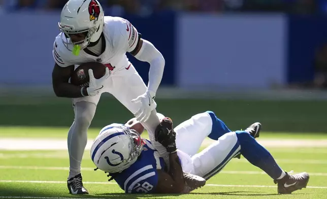 Indianapolis Colts' Chris Lammons tackles Arizona Cardinals' Greg Dortch during the first half of an NFL football game Sunday, Oct. 12, 2025, in Indianapolis. (AP Photo/Michael Conroy)