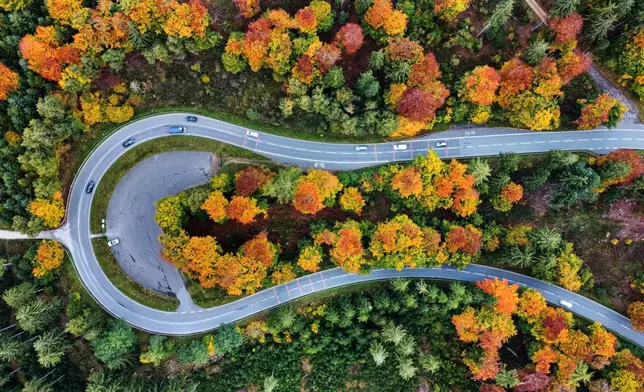 Cars drive around a bend in the road surrounded by colored fall foliage in the Taurus region in Frankfurt, Germany, Tuesday, Oct. 14, 2025. (AP Photo/Michael Probst)