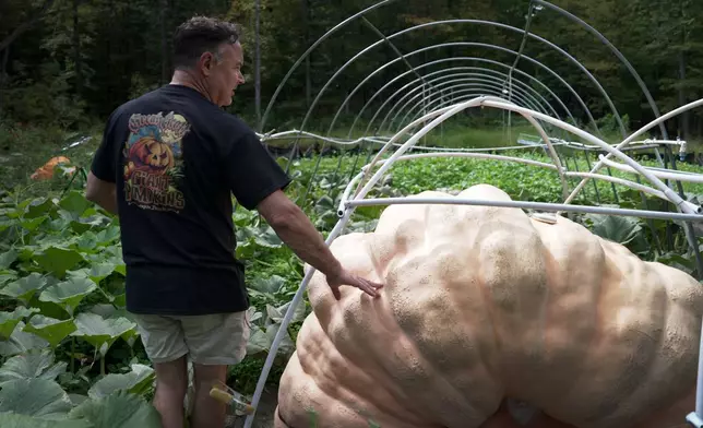 Tony Scott stands with the pumpkin he grew in his Wappingers Falls, N.Y., backyard on Sept. 17, 2025. (AP Photo/Shelby Lum)