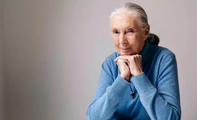 FILE - British primatologist, ethologist, and anthropologist Jane Goodall poses for a portrait in New York to promote the Disneynature film, "Born in China", April 7, 2017. Goodall, the conservationist renowned for her groundbreaking chimpanzee field research and globe-spanning environmental advocacy, died Wednesday, Oct. 1, 2025. She was 91. (Photo by Victoria Will/Invision/AP File)