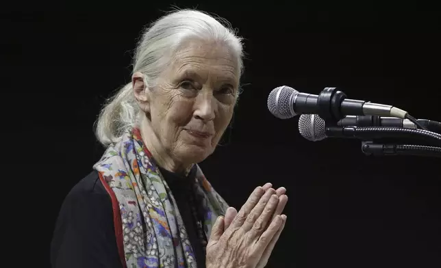 FILE - Primatologist and conservationist Jane Goodall delivers the 50th George Gamow Memorial Lecture at the University of Colorado, Boulder, Colo., Oct. 1, 2015. (AP Photo/Brennan Linsley, File)