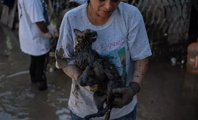 A local holds a rescued cat in Poza Rica, Veracruz state, Mexico, Sunday, Oct. 12, 2025, after rain and flooding. (AP Photo/Felix Marquez)