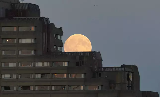 The Harvest Supermoon rises, in London, Monday, Oct. 6, 2025. (AP Photo/Kin Cheung)