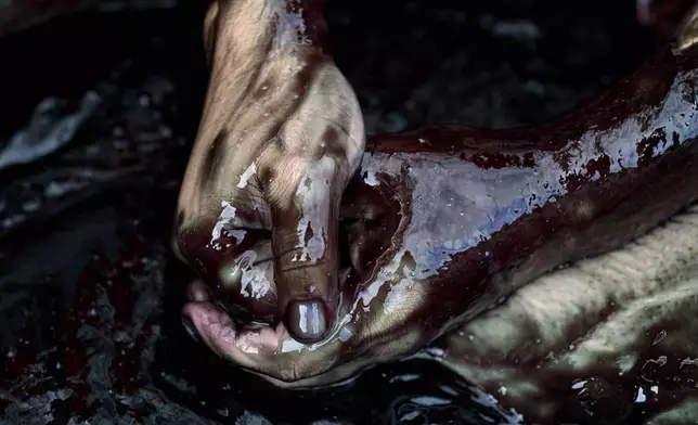 A protestor's hands are covered in oil during an Extinction Rebellion demonstration blocking a highway to protest fossil subsidies and new fossil fuel projects one day before the Oct. 29 general election, in The Hague, Netherlands, Tuesday, Oct. 28, 2025. (AP Photo/Peter Dejong)