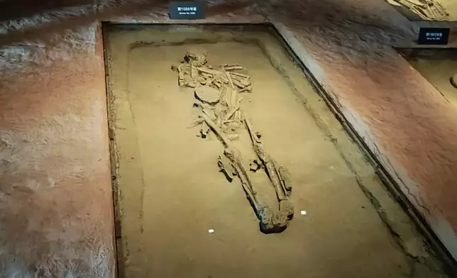 Excavated skeletal remains​​. Photo by Bastillepost.