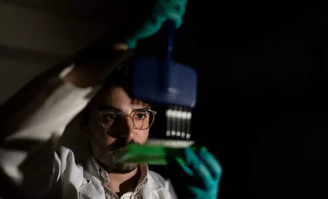 Research fellow Colin Gliech poses for a portrait while preparing to test cells in a lab where he studies autoimmune diseases at Johns Hopkins University in Baltimore, Md., Tuesday, May 13, 2025. "I've always been really passionate about understanding how things work in biology. Immunotherapies have seen a lot of promise in the field of cancer and we've seen a lot of success specifically with treating blood cancers. But that's by no means the only application for these really kind of exciting and new technologies. So I really see autoimmune diseases as one of those new frontiers." (AP Photo/David Goldman)