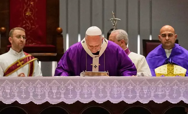Pope Leo XIV celebrates a Mass at the Volkswagen Arena, in Istanbul, Turkey, Saturday, Nov. 29, 2025. (AP Photo/Khalil Hamra)