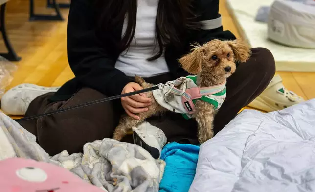 A pet dog with its owner rest at a temporary shelter near the fire scene at Wang Fuk Court, a residential estate in the Tai Po district of Hong Kong's New Territories, Thursday, Nov. 27, 2025. (AP Photo/Chan Long Hei)