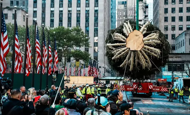 Workers hold the Rockefeller Center Christmas tree with ropes at Rockefeller Plaza, Saturday, Nov. 8, 2025, in New York. (AP Photo/Eduardo Munoz Alvarez)