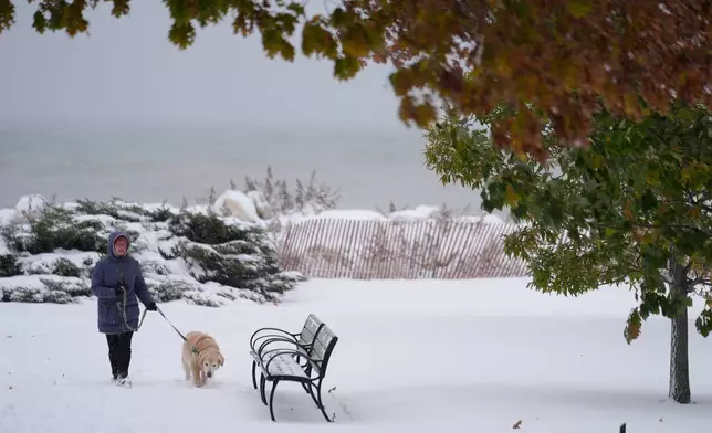 A person walks her dog along Lake Michigan as snow covers the ground with fall colors on the trees in Evanston, Ill., a suburb of Chicago, Monday, Nov. 10, 2025. (AP Photo/Kiichiro Sato)