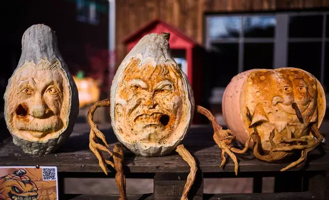 Carved gourds are displayed at Klaistow farm’s annual pumpkin festival, which this year celebrates “powerful women,” in Beelitz near Berlin, Germany, Tuesday, Oct. 21, 2025. (AP Photo/Markus Schreiber)