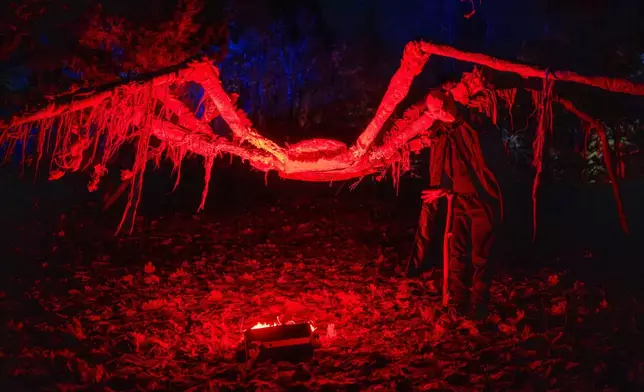 A reveler dressed in a costume poses during a Halloween celebration in Vilnius, Lithuanian, Sunday, Oct. 26, 2025. (AP Photo/Mindaugas Kulbis)