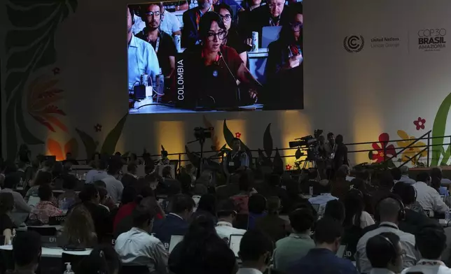 ADDS NAME - Daniela Duran Gonzalez, head of international affairs for the Colombian Ministry of Environment and Sustainable Development, speaks during a plenary session at the COP30 U.N. Climate Summit, Saturday, Nov. 22, 2025, in Belem, Brazil. (AP Photo/Andre Penner)