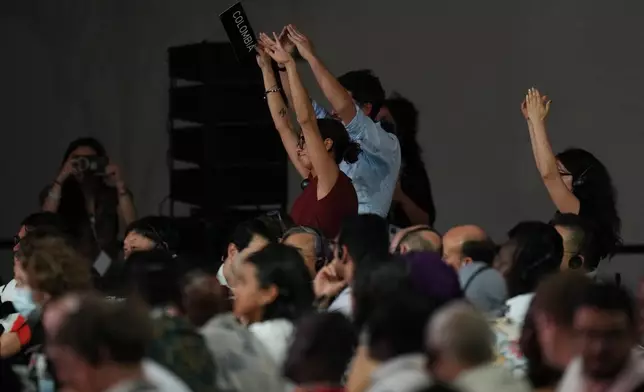 ADDS NAME - Delegates from Colombia, including Daniela Duran Gonzalez, head of international affairs for the Colombian Ministry of Environment and Sustainable Development, front, react during a plenary session at the COP30 U.N. Climate Summit, Saturday, Nov. 22, 2025, in Belem, Brazil. (AP Photo/Andre Penner)