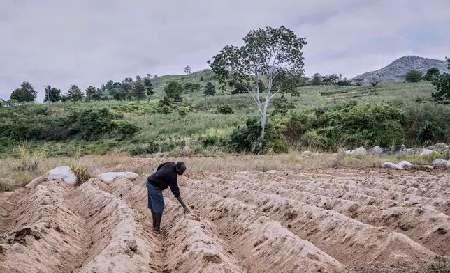 FILE - Feluzi Makono stands on his grandmother's farm that was destroyed by Cyclone Freddy in Mulanje, southern Malawi, July 29, 2025. (AP Photo/Thoko Chikondi, File)